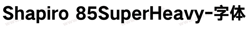 Shapiro 85SuperHeavy字体转换